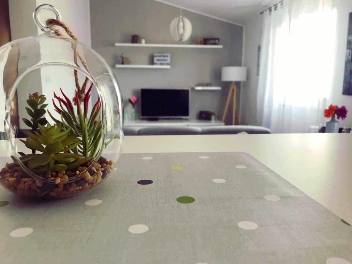 Apartman Marko Primošten Zewnętrze zdjęcie